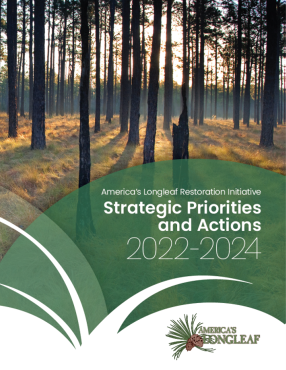 Strategic Priorities and Actions