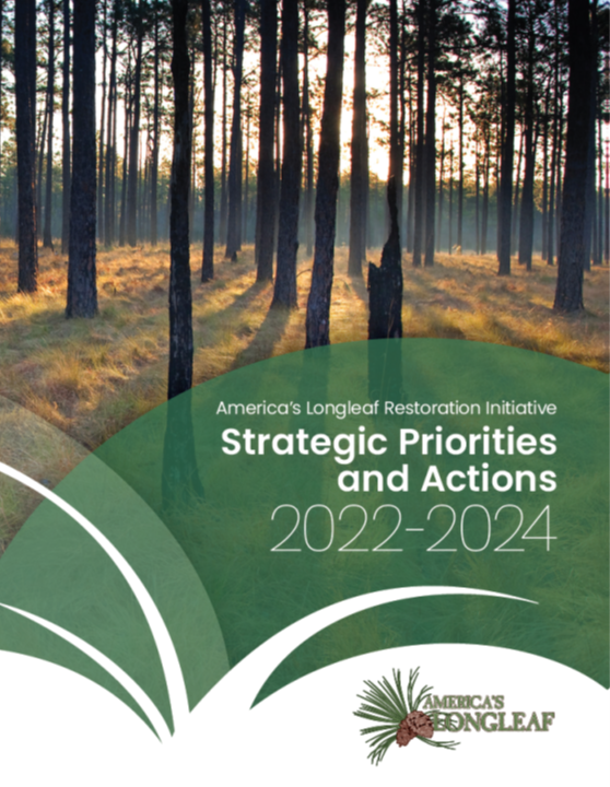 Strategies Priorities Actions 2022-2024 Cover