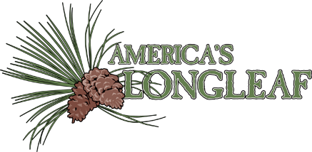 America's Longleaf logo