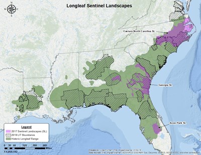 Longleaf Sentinel Landscapes Map
