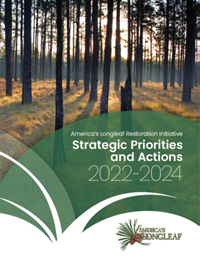 LPC Strategic Priorities and Actions 2022-2024 Cover