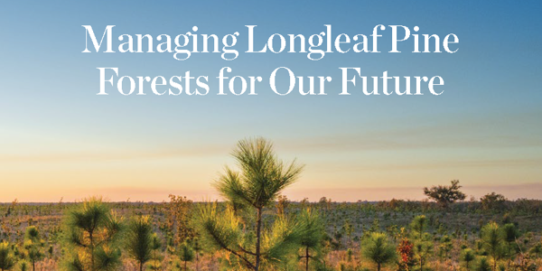 Longleaf Pine Climate Smart Management Guide Cover