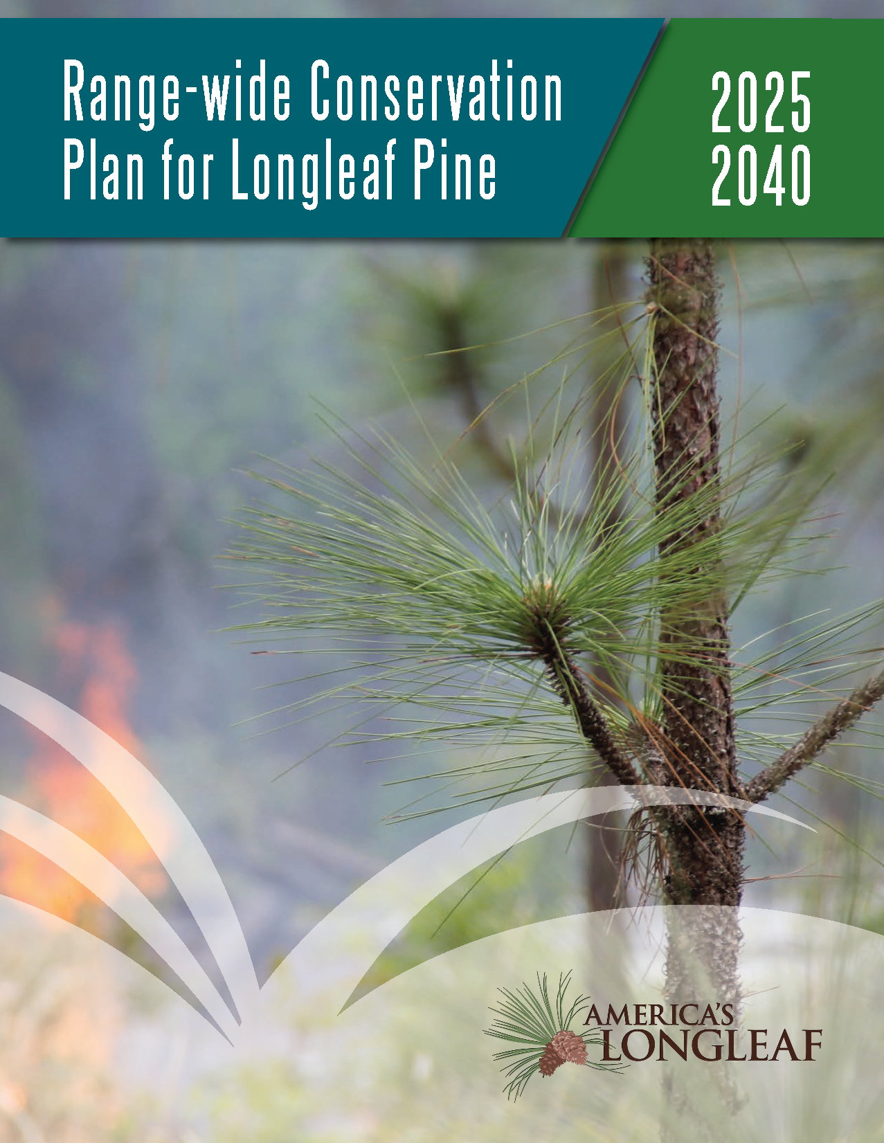 America’s Longleaf Releases Updated Conservation Plan For 2025-2040 ...