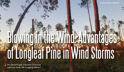 LLP Windstorm Fact Sheet 2020 Front Cover