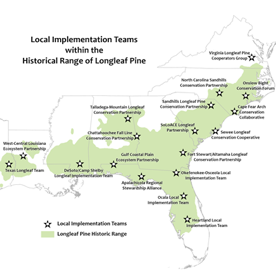 Local Implementation Teams Map