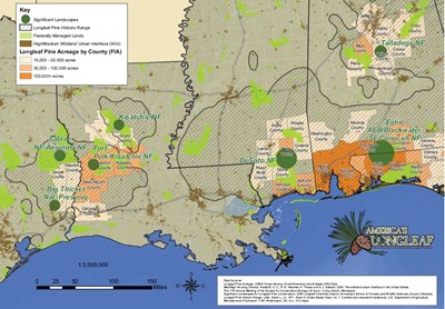 Significant Landscapes For Longleaf Pine Conservation: Alabama, Louisiana, Mississippi, And Texas