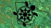 Cflep Tortoise Logo2submitted Image 1 Thumb