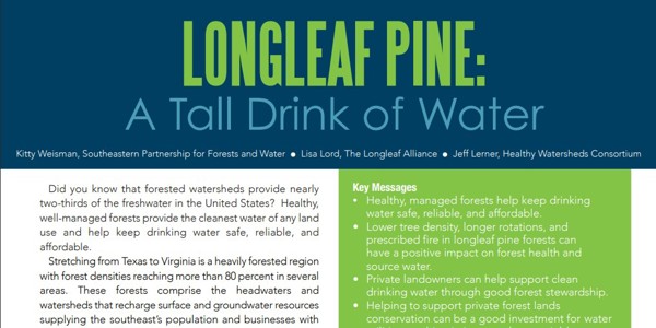 Longleaf Pine A Tall Drink Of Water Cover