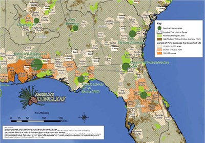 Significant Landscapes For Longleaf Pine Conservation: Georgia And Florida