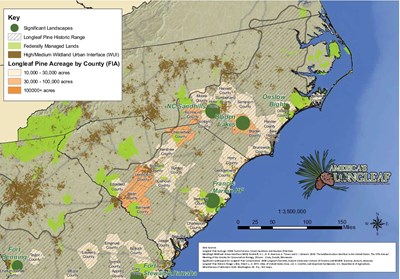 Significant Landscapes For Longleaf Pine Conservation: North Carolina And South Carolina