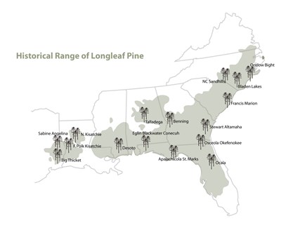 Historic Range of Longleaf