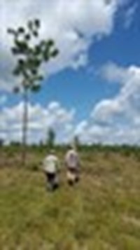Tx Wendy Ledbetter And Shawn Benedict Look At Mech Treatment On Sl Easement Credit Alexandra Lodge 20150716 110225 Image 1 Thumb