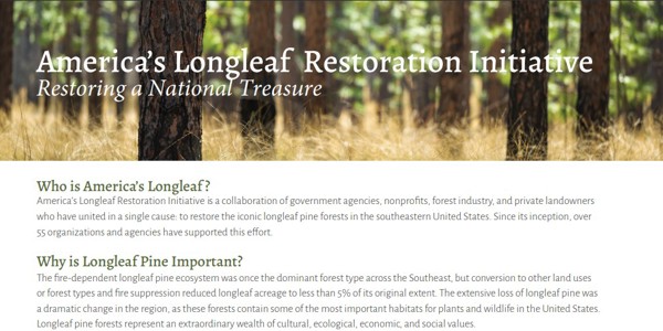 About America's Longleaf Restoration Initiative Cover