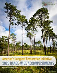 2020 Accomplishment Report Cover