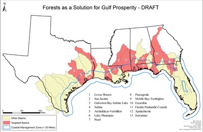 Forestry as a Solution for Gulf Prosperity (Draft)