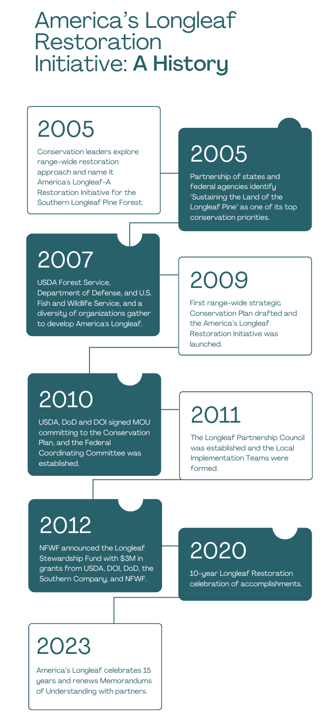 Longleaf Timeline