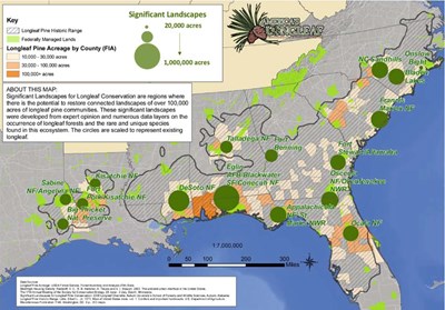 Significant Landscapes For Longleaf Pine Conservation: Range-wide